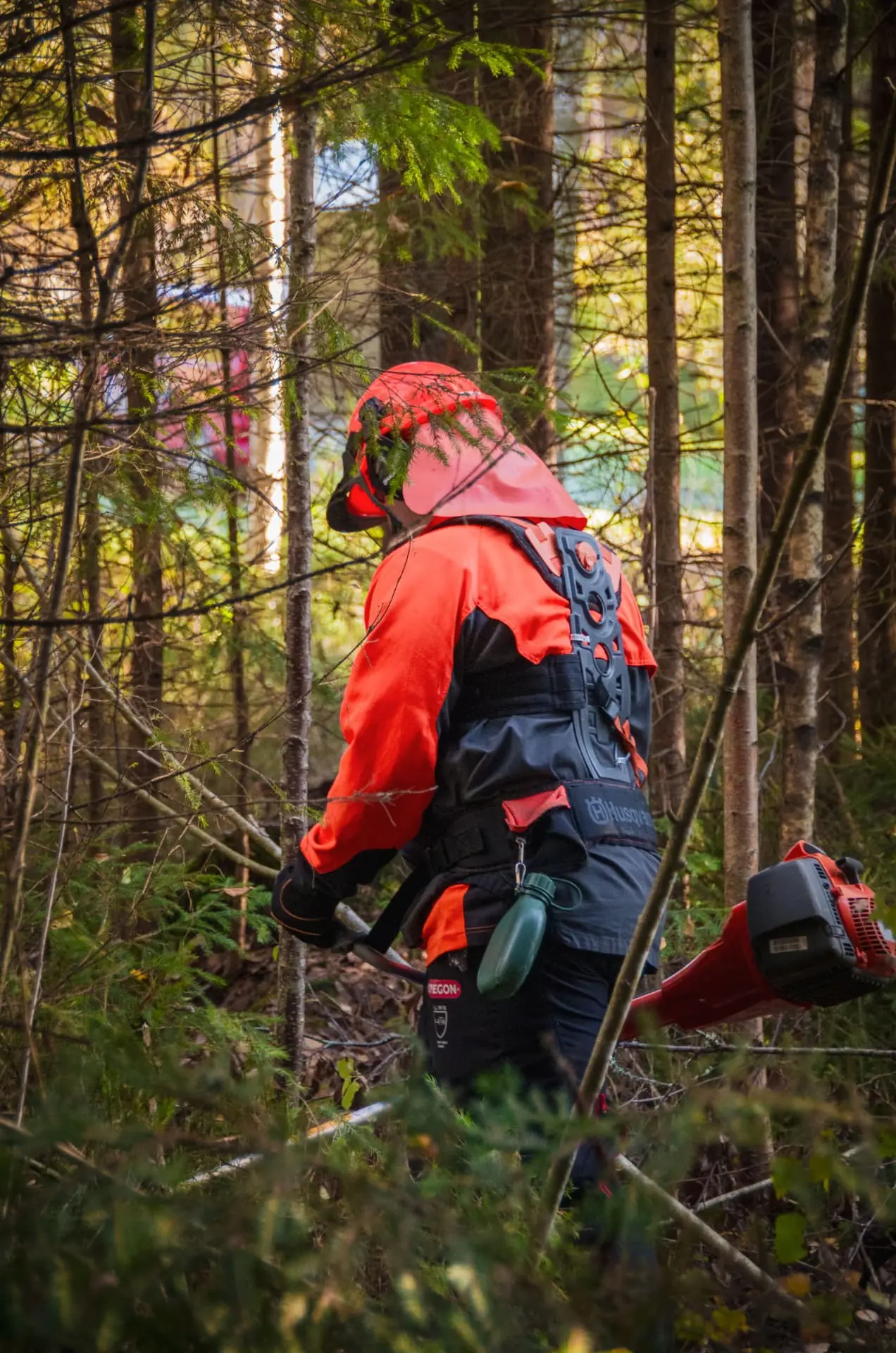Slyröjning av skog – exempel på motiv för tjänsten